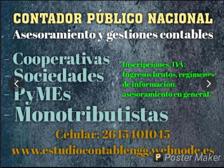 Contador Público